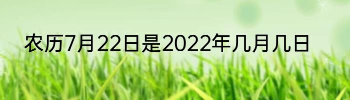 农历7月22日是2022年几月几日