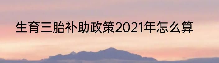 生育三胎补助政策2021年怎么算