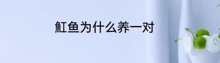 魟鱼为什么养一对