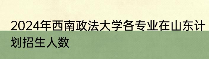 2024年西南政法大学各专业在山东计划招生人数