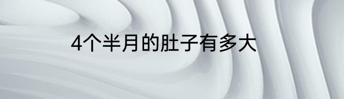 4个半月的肚子有多大