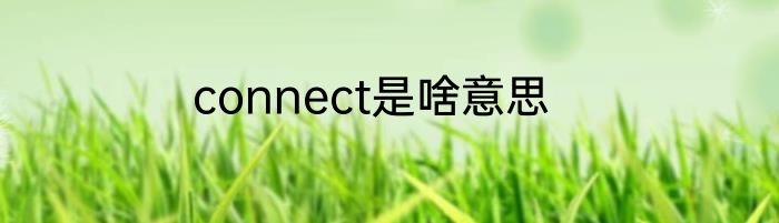 connect是啥意思