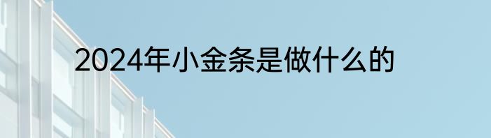 2024年小金条是做什么的