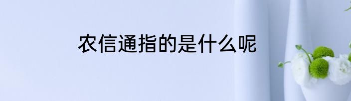农信通指的是什么呢