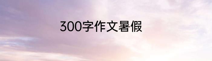 300字作文暑假