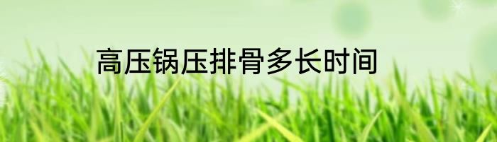 高压锅压排骨多长时间