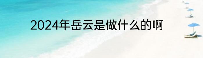 2024年岳云是做什么的啊