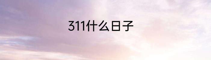 311什么日子