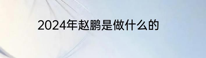 2024年赵鹏是做什么的