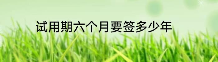 试用期六个月要签多少年