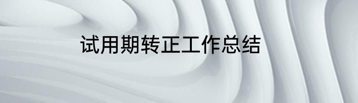 试用期转正工作总结