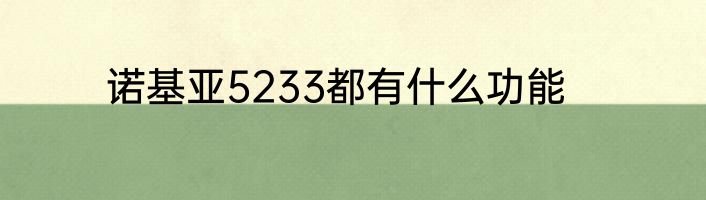 诺基亚5233都有什么功能