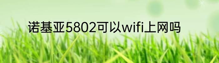 诺基亚5802可以wifi上网吗