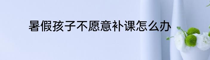 暑假孩子不愿意补课怎么办