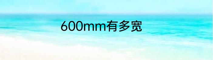 600mm有多宽