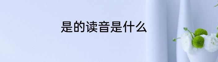 是的读音是什么