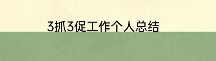 3抓3促工作个人总结
