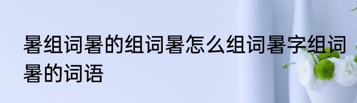 暑组词暑的组词暑怎么组词暑字组词暑的词语