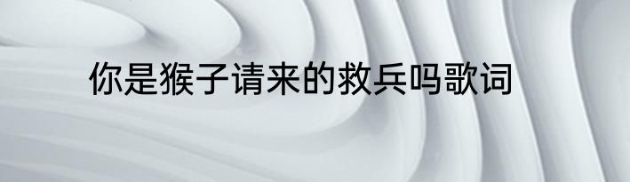 你是猴子请来的救兵吗歌词