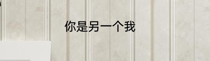 你是另一个我