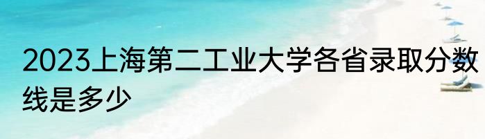 2023上海第二工业大学各省录取分数线是多少