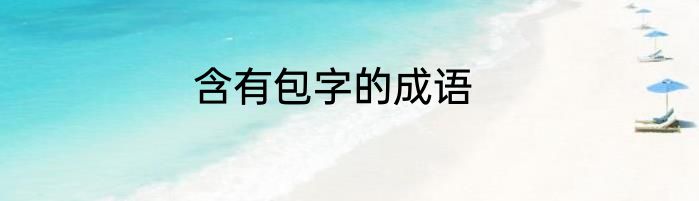 含有包字的成语