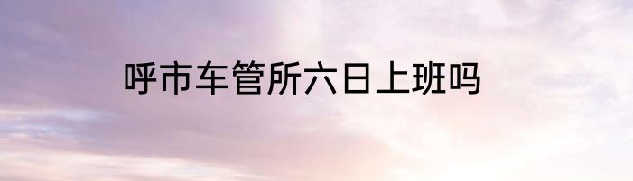 呼市车管所六日上班吗