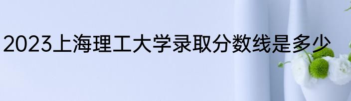 2023上海理工大学录取分数线是多少