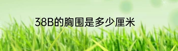38B的胸围是多少厘米