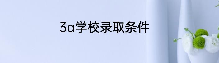 3a学校录取条件
