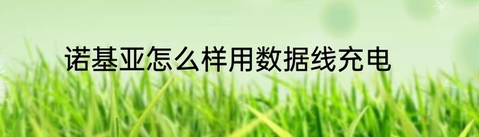 诺基亚怎么样用数据线充电