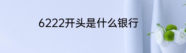 6222开头是什么银行