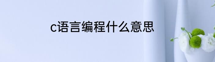 c语言编程什么意思