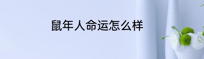 鼠年人命运怎么样