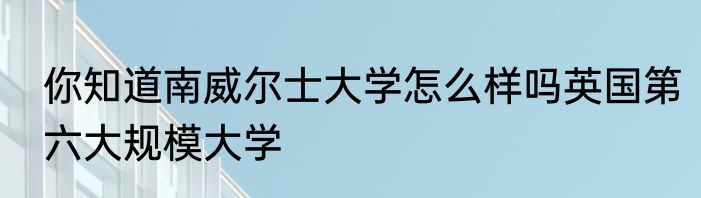 你知道南威尔士大学怎么样吗英国第六大规模大学