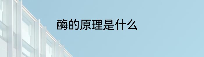 酶的原理是什么