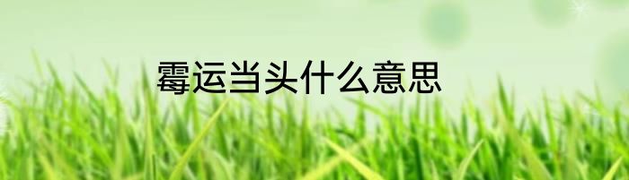 霉运当头什么意思