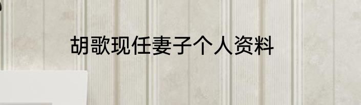 胡歌现任妻子个人资料