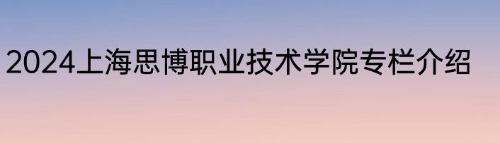 2024上海思博职业技术学院专栏介绍