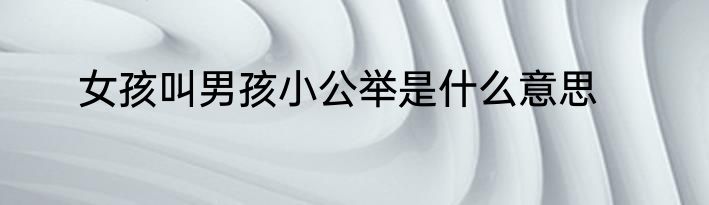 女孩叫男孩小公举是什么意思