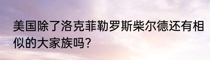美国除了洛克菲勒罗斯柴尔德还有相似的大家族吗?