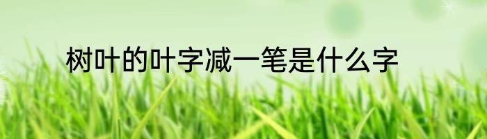 树叶的叶字减一笔是什么字