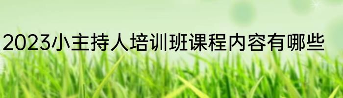 2023小主持人培训班课程内容有哪些
