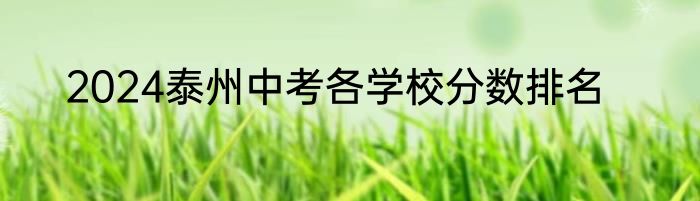 2024泰州中考各学校分数排名
