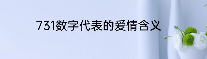 731数字代表的爱情含义