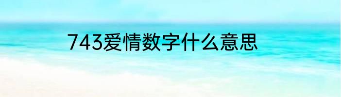 743爱情数字什么意思
