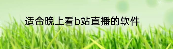 适合晚上看b站直播的软件