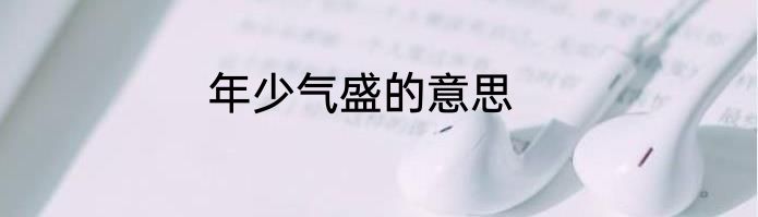 年少气盛的意思