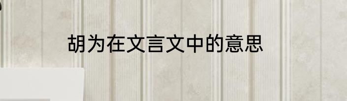 胡为在文言文中的意思