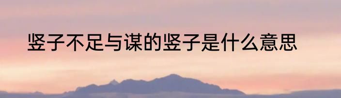 竖子不足与谋的竖子是什么意思